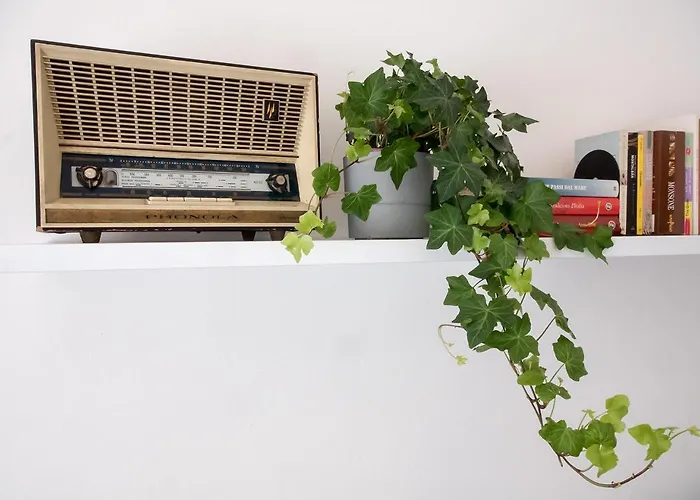 Luminoso, Spazioso Con Aria Condiz E Bici Apartment