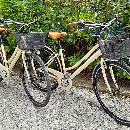 Luminoso, Spazioso Con Aria Condiz E Bici * Viareggio