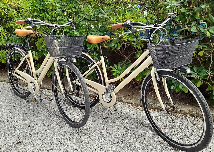 Luminoso, Spazioso Con Aria Condiz E Bici * 维亚雷焦