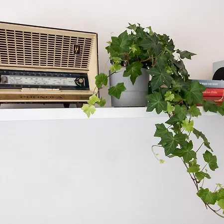 Luminoso, Spazioso Con Aria Condiz E Bici شقة